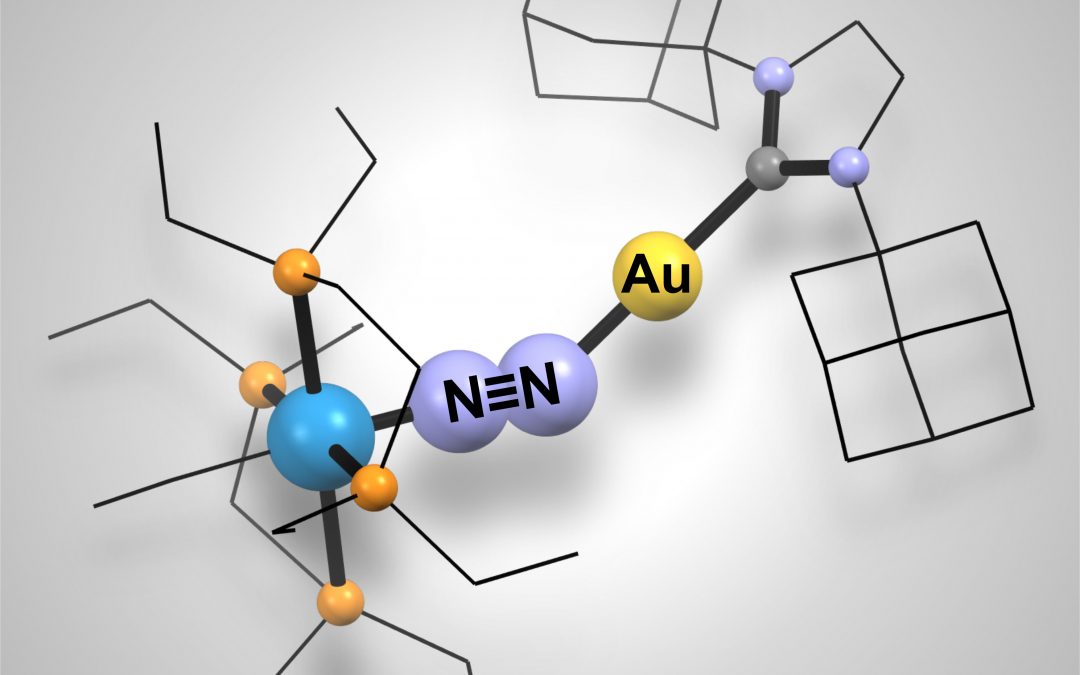 Actualité scientifique : Un complexe en or pour activer le diazote