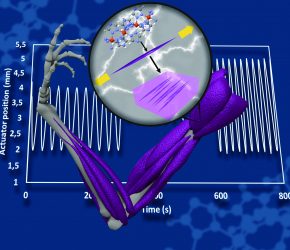 Expansion colossale de nano-composites à base de matériaux à transition de spin, vers le muscle artificiel