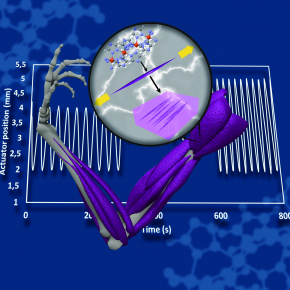 Expansion colossale de nano-composites à base de matériaux à transition de spin, vers le muscle artificiel