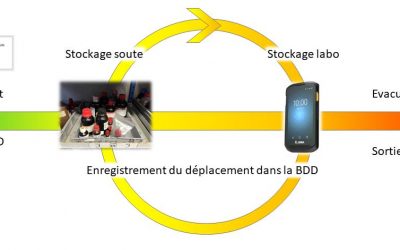 Le « Coup de cœur de l’ICT 2022 » attribué à trois ITA pour leur démarche novatrice mise en place au sein de l’équipe C.