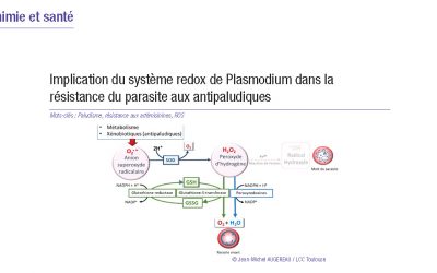 Fait marquant 2021 Equipe V