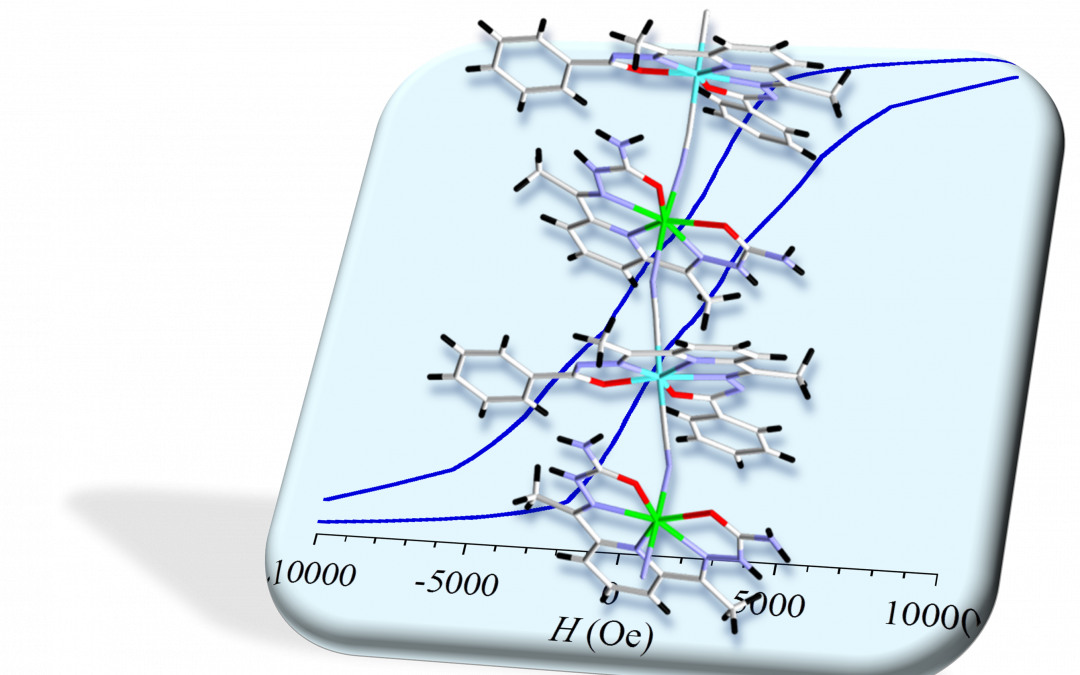 Quasi-alignement des anisotropies magnétiques individuelles des ions Fe sur un édifice 1D Fe(II)–Cr(III)