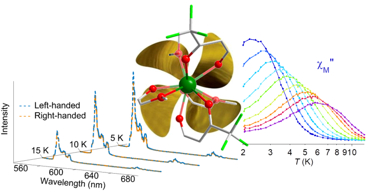 The circularly polarized luminescence and magnetic behavior of a molecule.