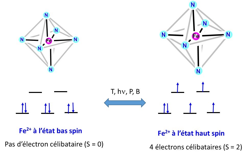 introduction du phénomène de la transition de spin pour un complexe de fer II