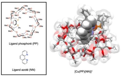 A light-emitting molecular corbeille