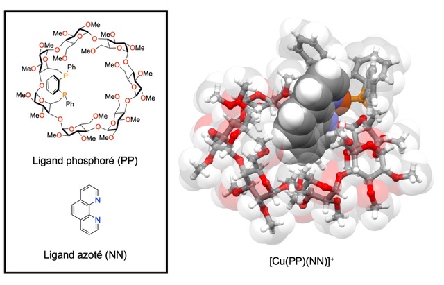 A light-emitting molecular corbeille