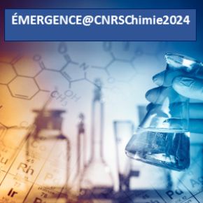 EMERGENCE@CNRSChimie2024 Call for Proposals