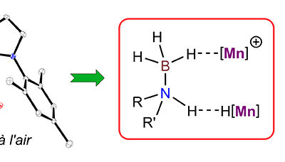 More Efficient Catalysts for Chemical Hydrogen Storage