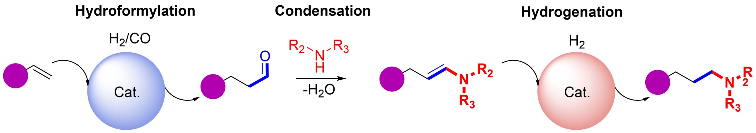 hydroaminomethylation