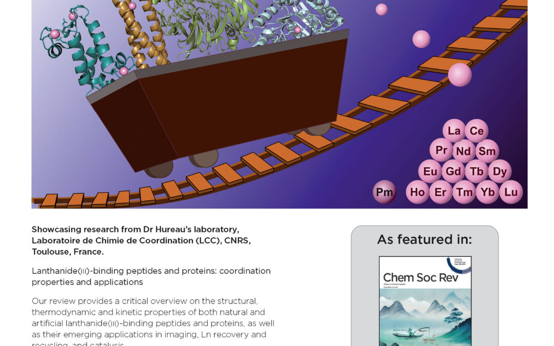 Peptides et protéines fixant les lanthanides(III) : propriétés de coordination et applications – En couverture de ChemSocRev