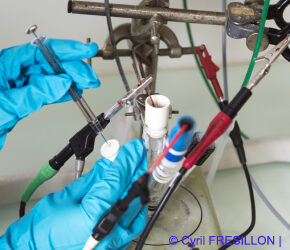 Comment transformer le monoxyde de carbone en sucres