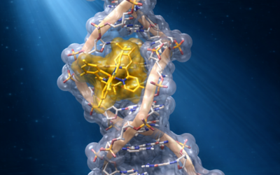 Un catalyseur hybride ADN-métal activé par la lumière visible