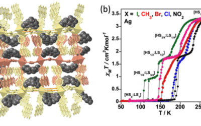 Spin Crossover in Hofmann Clathrates